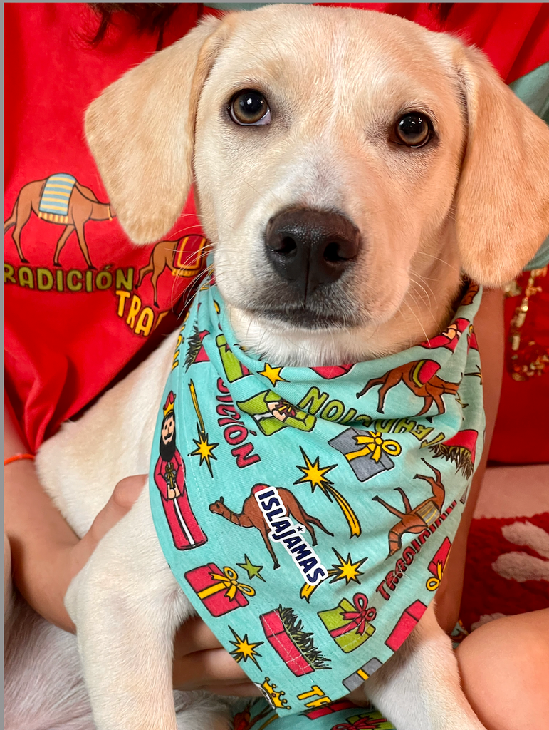 "A Reyar " Christmas Pet Bandana