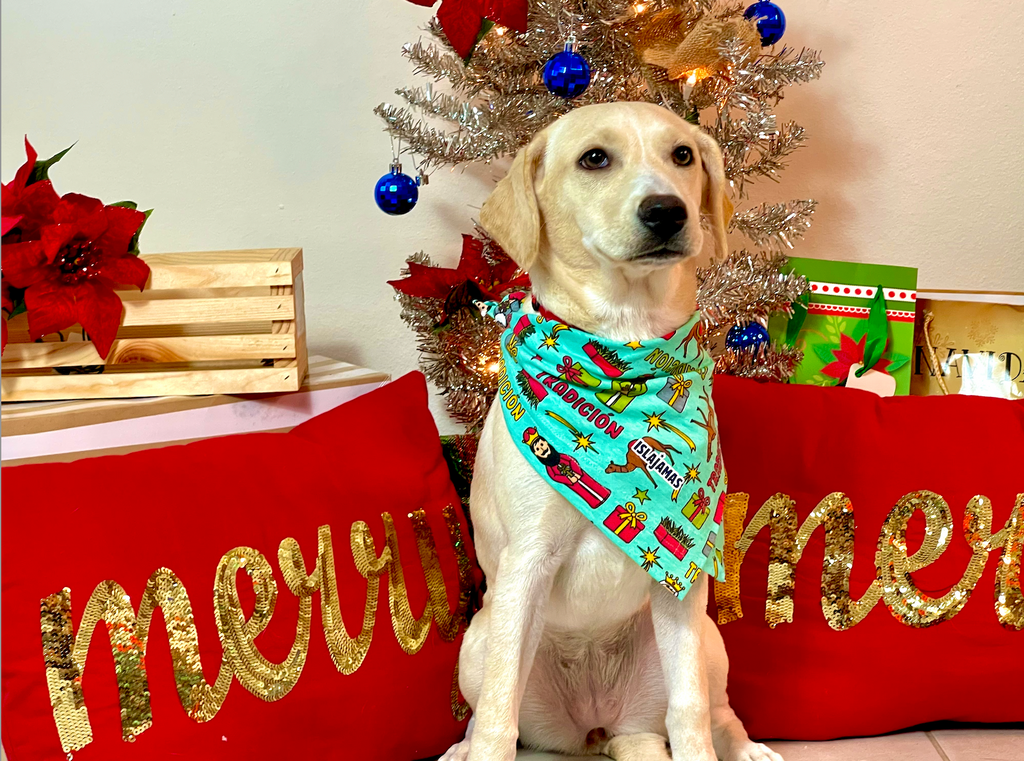 "A Reyar " Christmas Pet Bandana